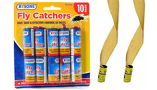 10-Pack Sticky Flying Insect Catcher