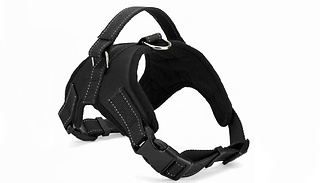 Dog Harness - 2 Colours & 4 Sizes