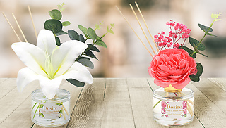 Desire 100ml Reed Diffuser - 4 Scents