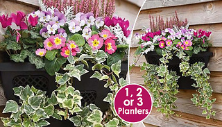 18-Inch Wall Basket Flower Planter