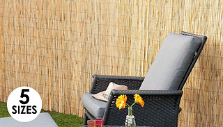 Natural Split Reed Garden Screen - 5 Sizes
