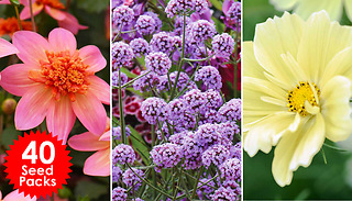 40-Pack Bumper Flower Seed Box & FREE Garden Snips