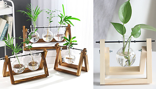 Wooden Frame Propagation Station - 9 Designs