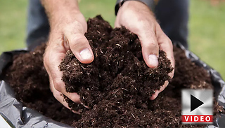 50L or 100L of Premium Professional Compost Blend