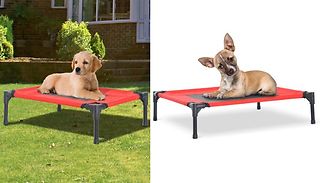 Raised Dog Bed - 2 Sizes