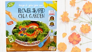 Design & Grow Your Own Flower-Shaped Chia Garden 