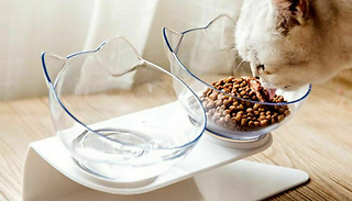 2 Elevated Cat Food & Water Bowls