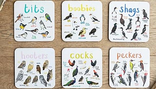 6-Pack Bird Pun Coasters