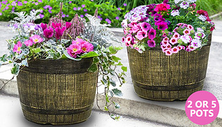 Whisky Barrel Planter - 2 or 5 Pots