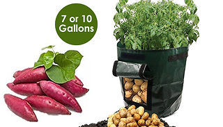 Heavy Duty PE Plant Bag - 2 Sizes
