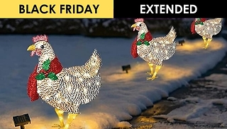 Christmas Light-Up Chicken with Scarf Decoration - 3 Sizes
