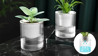 Self-Absorbing Hydroponic Flower Pot - 2 Sizes