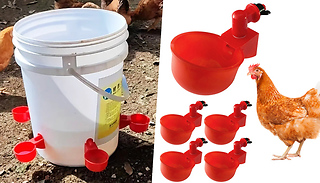 5-Piece Bird Feeder Automatic Drinking Bowl Kit