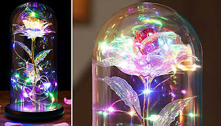 LED Light-Up Eternal Forever Rose Gift - 5 Colours