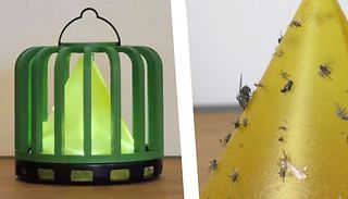 Refillable Sticky & Luminous Conical Fly Trap