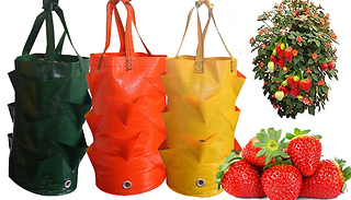 3 Pack of Hanging Strawberry Planter Bags