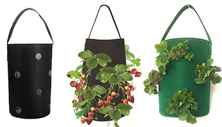 1 or 2 Hanging Felt Fruit & Veg Planting Bags - 2 Colours