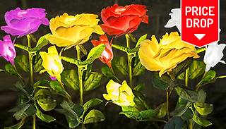 1, 2, 3 or 4 Solar Powered Rose Flower Lamps - 4 Colours