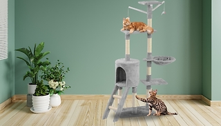 Large Cat Scratch & Climb Tree