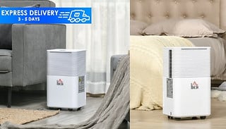 HOMCOM 3-Mode 10L/Day Quiet Dehumidifier