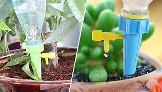 10 Self-Contained Auto Drip Watering Irrigation Spikes - 2 Colours