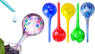 1, 3,or 6-Pack House Plant Self-Watering Glass Globes - 6 Colours