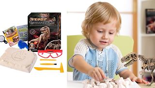 Archaeology Dinosaur Fossil Digging Set - 9 Designs