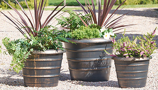 Set of 3 Antique Bronze-Style Beehive Planters