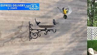 Wall Hanging Bird Bath & Feeder