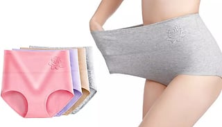 4 or 8-Pack of High Waist Embossed Rose Underwear - 5 Options & 3 Size ...
