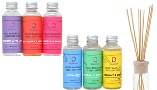 6-Pack of Reed Diffuser Scented Oil Bottles 100ml - Assorted Scents