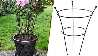 54cm Garden Peony & Herbaceous Plant Frame - 1 or 3 Frames