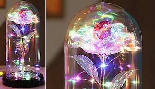 LED Light-Up Eternal Rose in Glass - 5 Colours
