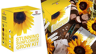 Grow-Your-Own 'Stunning Sunflowers' Kit