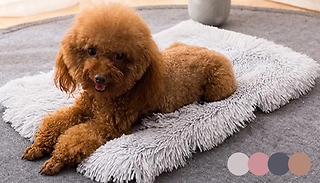 Shaggy Pet Cushion Bed - 4 Colours & 4 Sizes