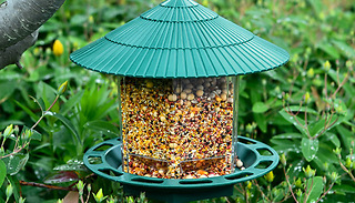 Hanging Windproof and Leakproof Bird Feeder