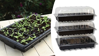 3-Pack of Garden Grow Plug & Seed Growing Trays