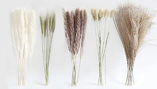 Naturally Dried Pampas Grass Bouquet - 50 to 100-Pack