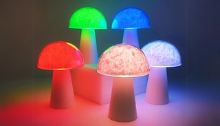 Mushroom Shaped Desk Lamp