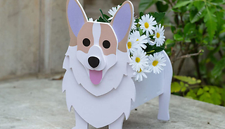 Novelty Dog Planter - 10 Styles!