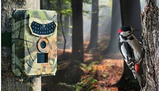 1080P Waterproof Night Vision Wildlife Camera - SD Card Options!