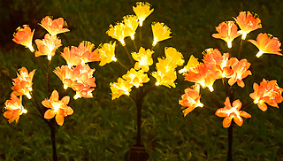 1 or 2 Solar LED Blossoming Flower Stake Lights