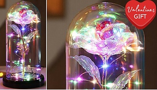 LED Light-Up Eternal Rose in Glass - 5 Colours