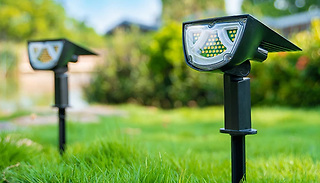 1, 2 or 4-Pack of 43-LED Solar Powered Garden Lights - 3 Colours