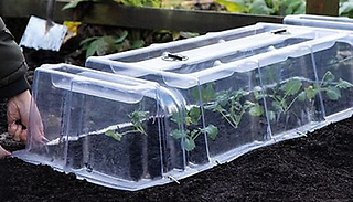 Mini Greenhouse Cloche - 1 or 2 Pack