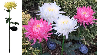 2-Pack of Solar Flower Garden Stake Lights - 3 Colours