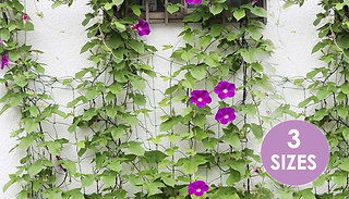Climbing Plants Growing Net - 3 Sizes
