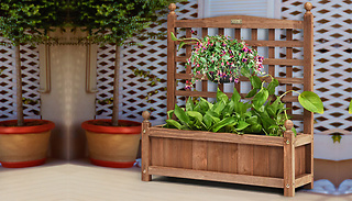 Large Wooden Climbing Lattice Planter