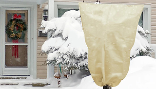 1 or 2 Winter Plant Protector Covers - 3 Colours