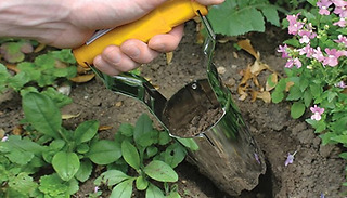 Bulb Planter